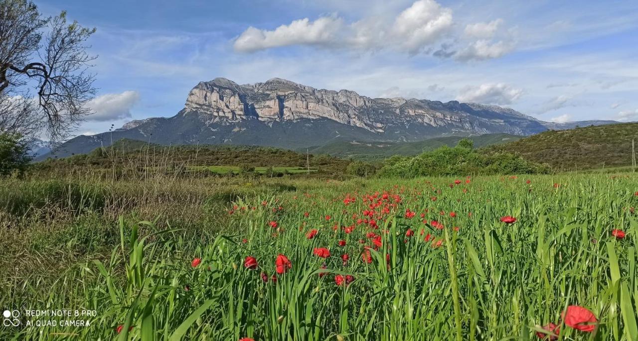 Apartamentos Bajo Pena Apartamentos Sanlorien El Pueyo de Araguás Kültér fotó